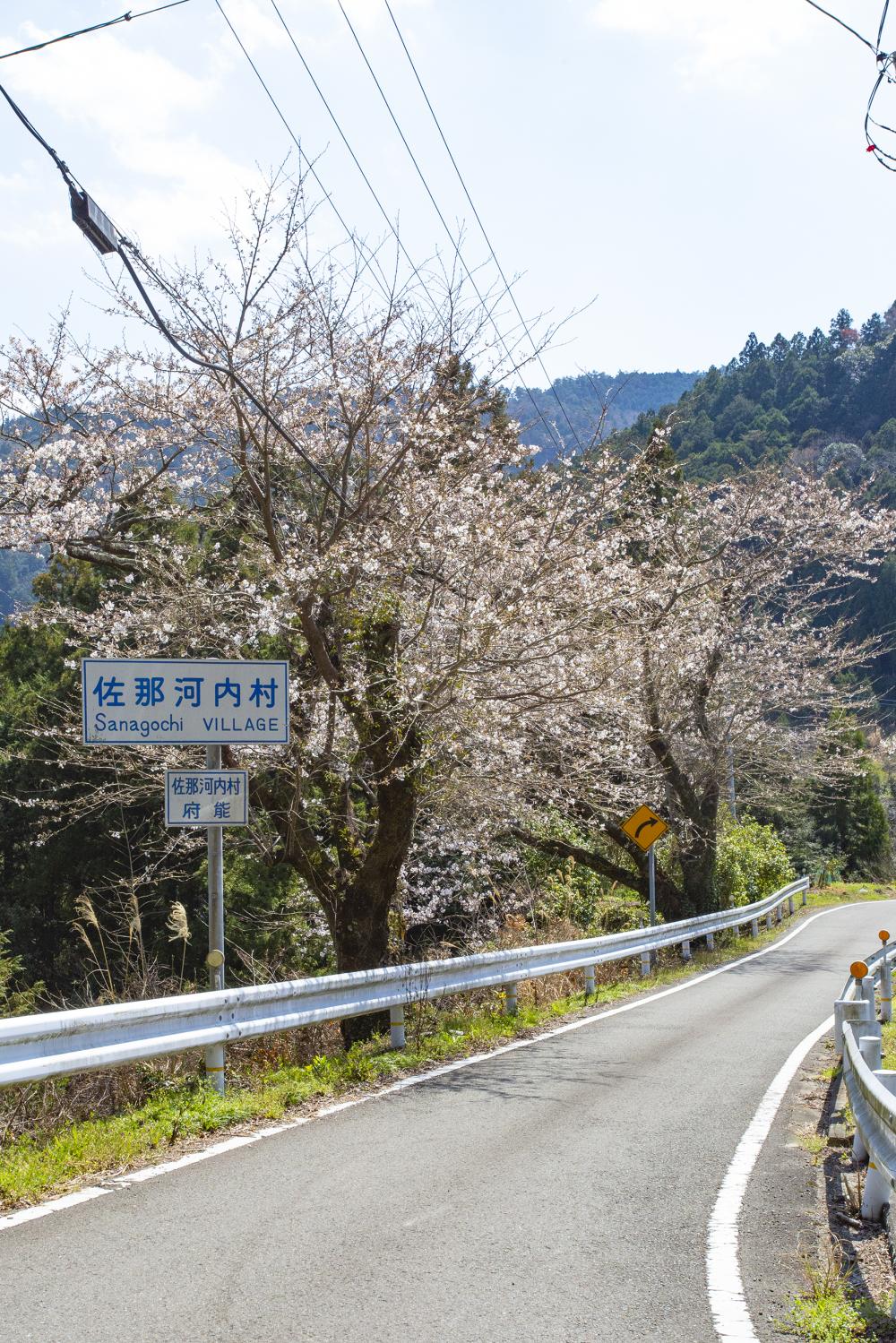 春を満喫 お弁当と一緒に佐那河内村半日旅行 特集 イーストとくしま観光推進機構