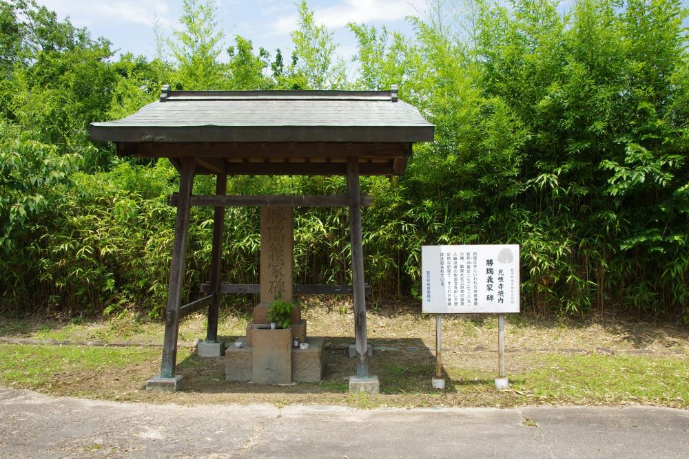 藍”の町ならではの逸品 藍色に染められた「勝瑞城の御城印」 | 特集