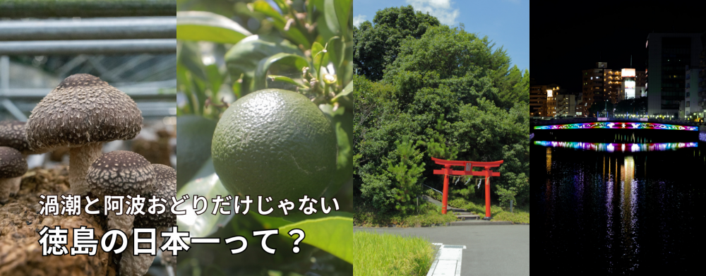 渦潮と阿波おどりだけじゃない
徳島の日本一って？