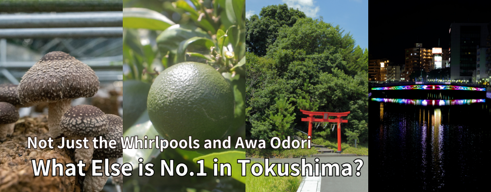 Not Just the Whirlpools and Awa Odori 
What Else is No.1 in Tokushima?